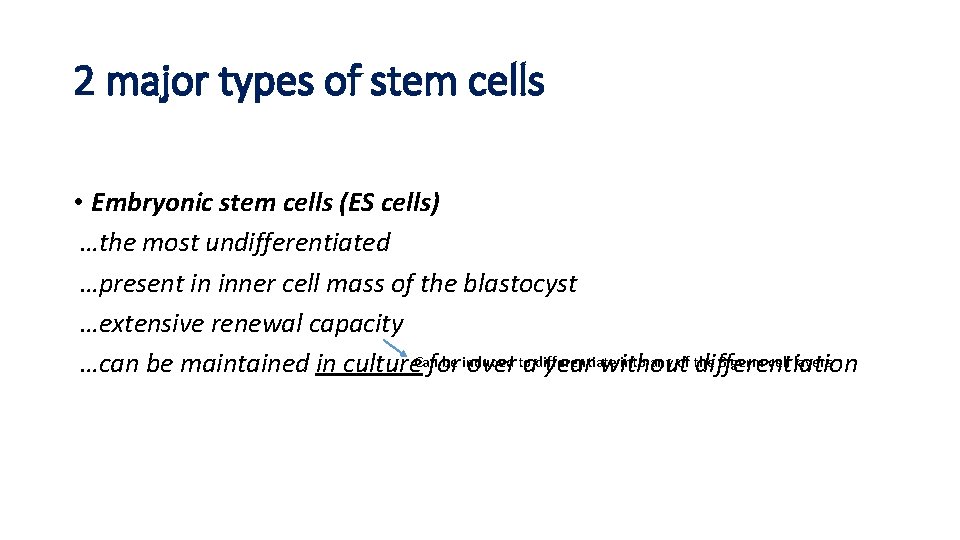 2 major types of stem cells • Embryonic stem cells (ES cells) …the most