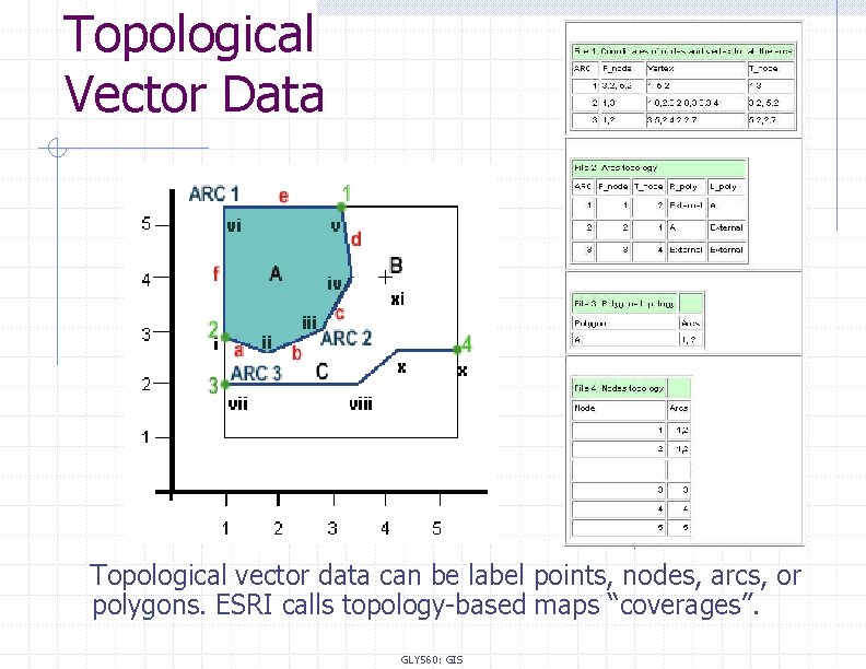Topological Vector Data Topological vector data can be label points, nodes, arcs, or polygons.