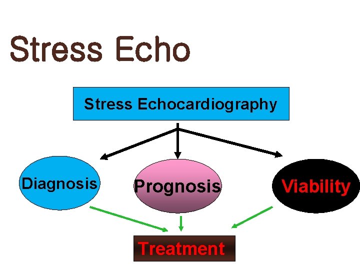 Stress Echocardiography Diagnosis Prognosis Treatment Viability 