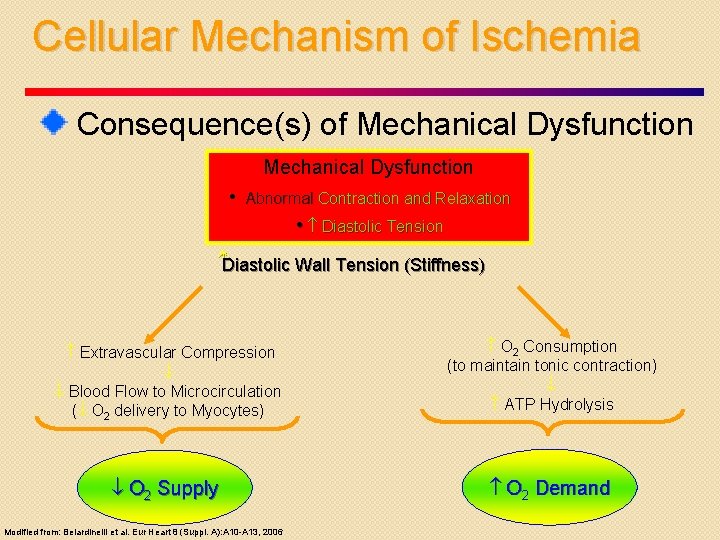 Cellular Mechanism of Ischemia Consequence(s) of Mechanical Dysfunction • Abnormal Contraction and Relaxation •