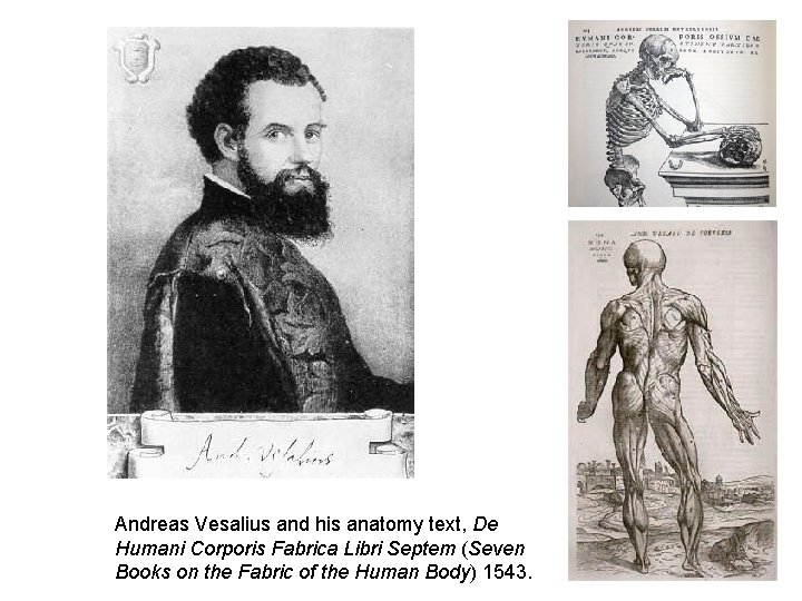 Andreas Vesalius and his anatomy text, De Humani Corporis Fabrica Libri Septem (Seven Books