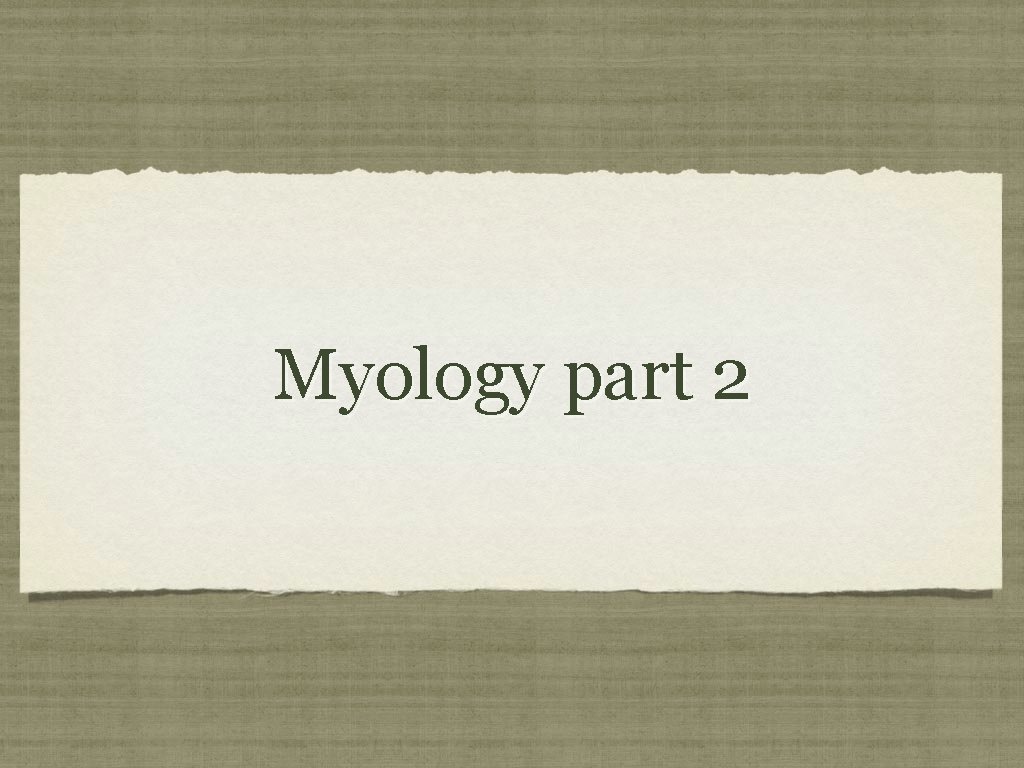 Myology part 2 