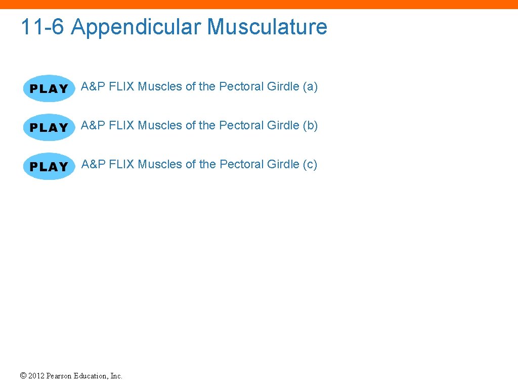 11 -6 Appendicular Musculature A&P FLIX Muscles of the Pectoral Girdle (a) A&P FLIX