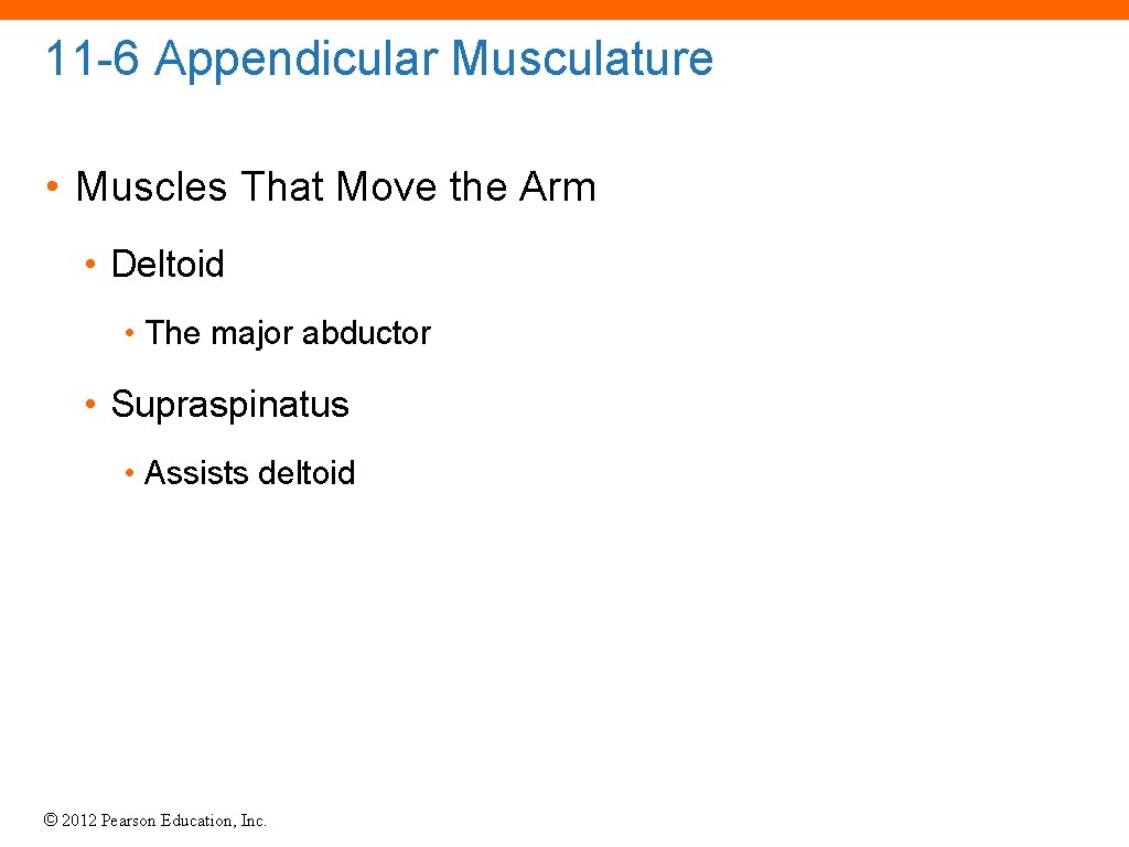 11 -6 Appendicular Musculature • Muscles That Move the Arm • Deltoid • The