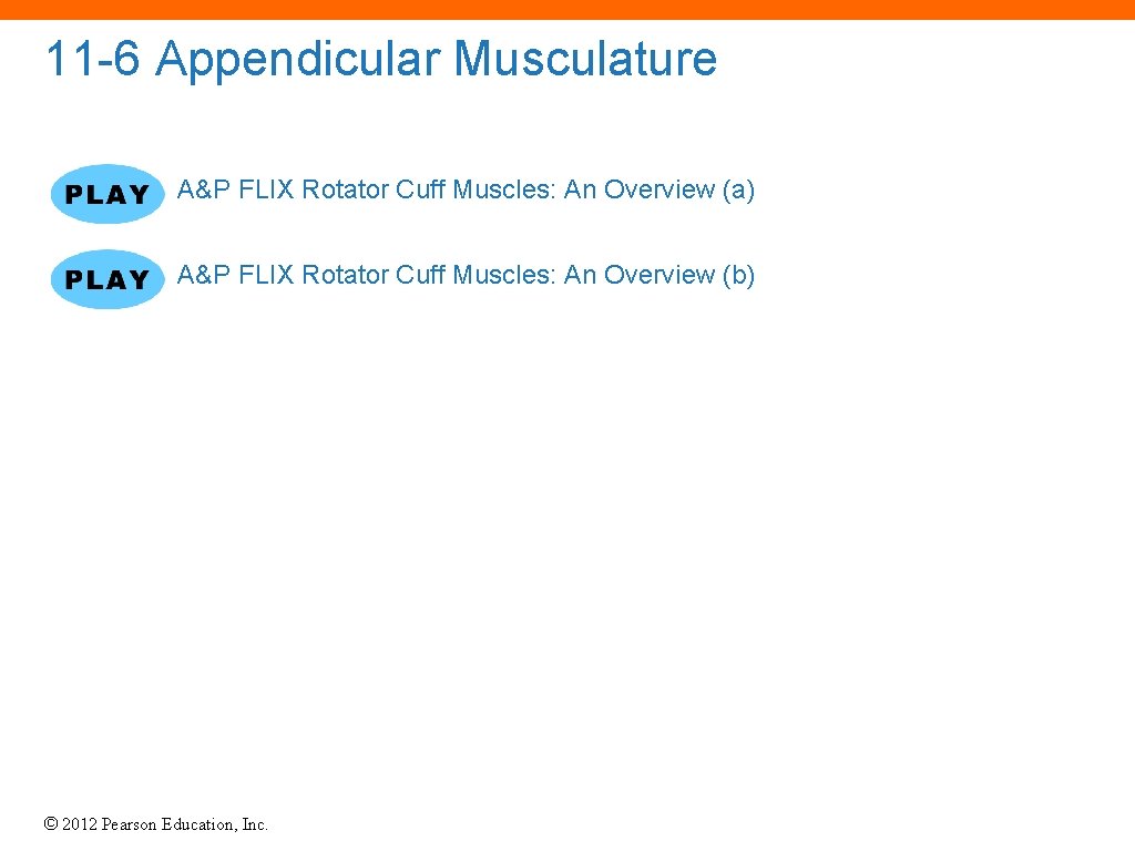 11 -6 Appendicular Musculature A&P FLIX Rotator Cuff Muscles: An Overview (a) A&P FLIX