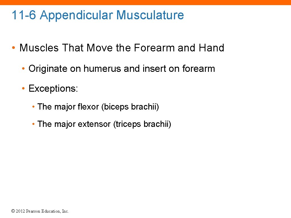 11 -6 Appendicular Musculature • Muscles That Move the Forearm and Hand • Originate