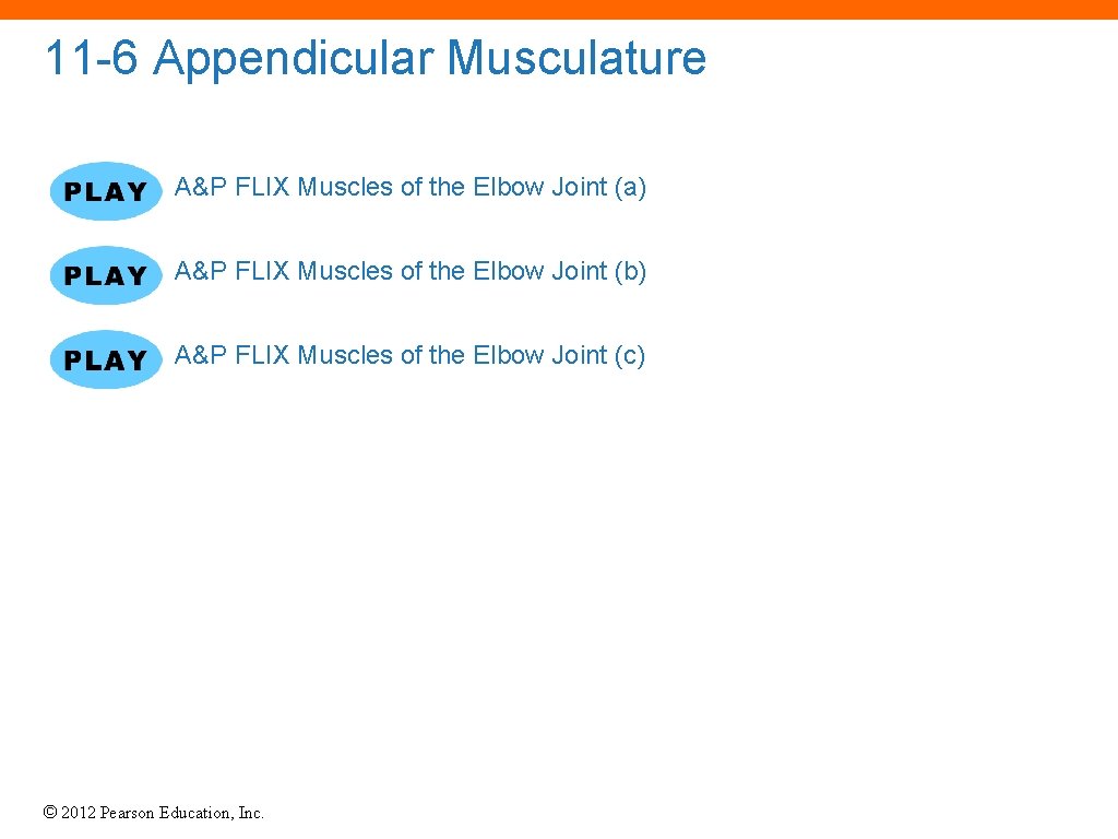11 -6 Appendicular Musculature A&P FLIX Muscles of the Elbow Joint (a) A&P FLIX