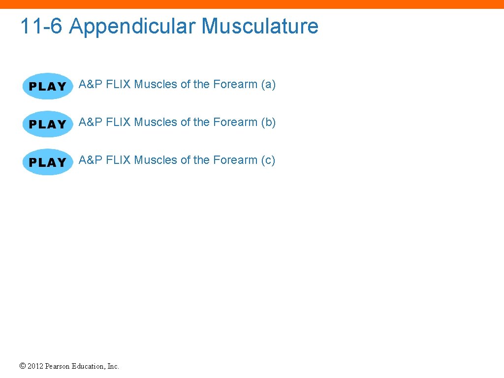 11 -6 Appendicular Musculature A&P FLIX Muscles of the Forearm (a) A&P FLIX Muscles