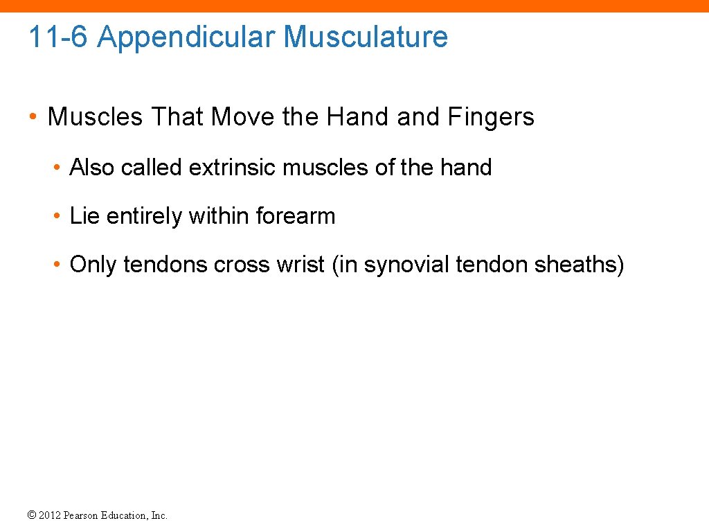 11 -6 Appendicular Musculature • Muscles That Move the Hand Fingers • Also called