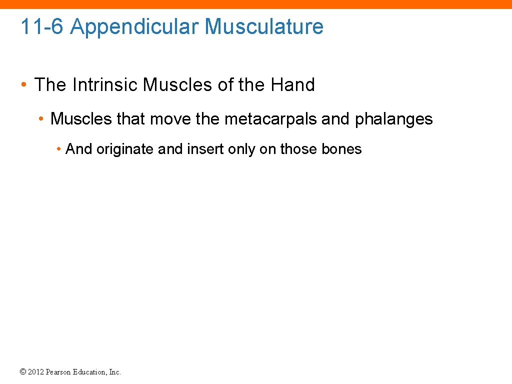 11 -6 Appendicular Musculature • The Intrinsic Muscles of the Hand • Muscles that