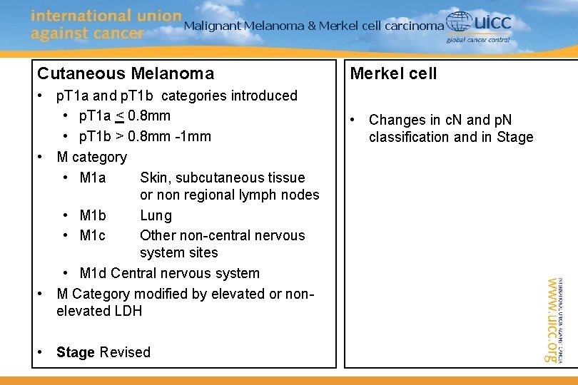TNM Classification of Malignant Tumours th 8 edition