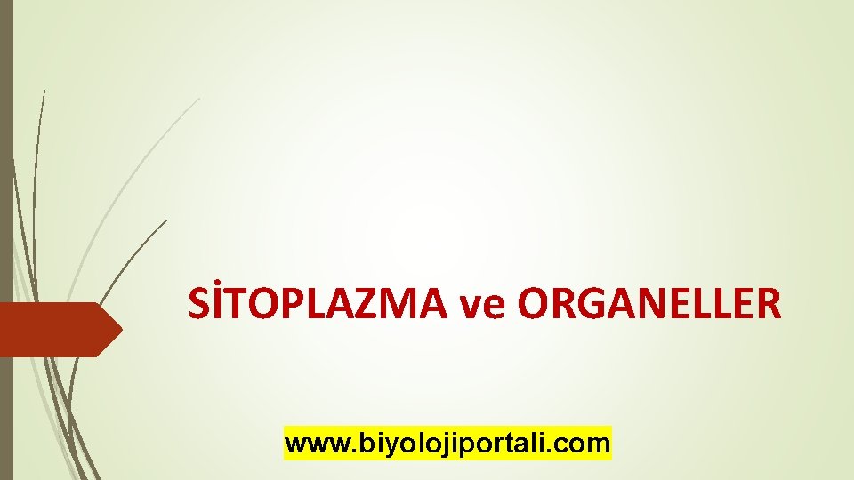 SİTOPLAZMA ve ORGANELLER www. biyolojiportali. com 