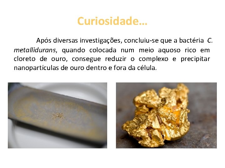 Curiosidade… Após diversas investigações, concluiu-se que a bactéria C. metallidurans, quando colocada num meio