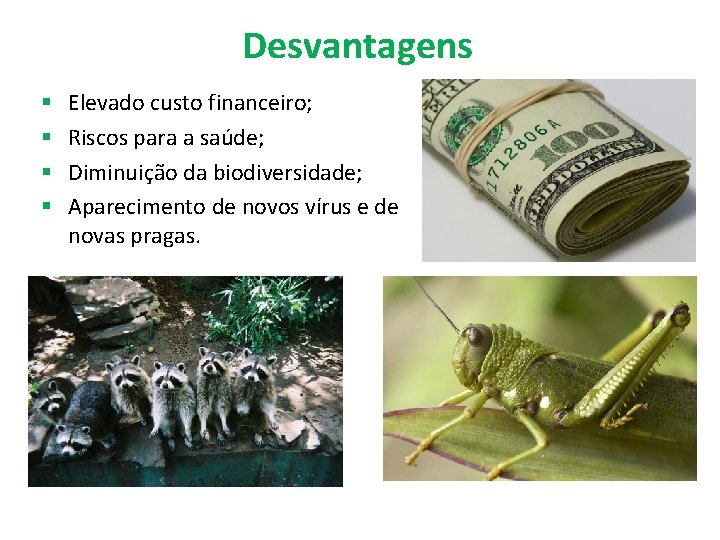 Desvantagens § § Elevado custo financeiro; Riscos para a saúde; Diminuição da biodiversidade; Aparecimento