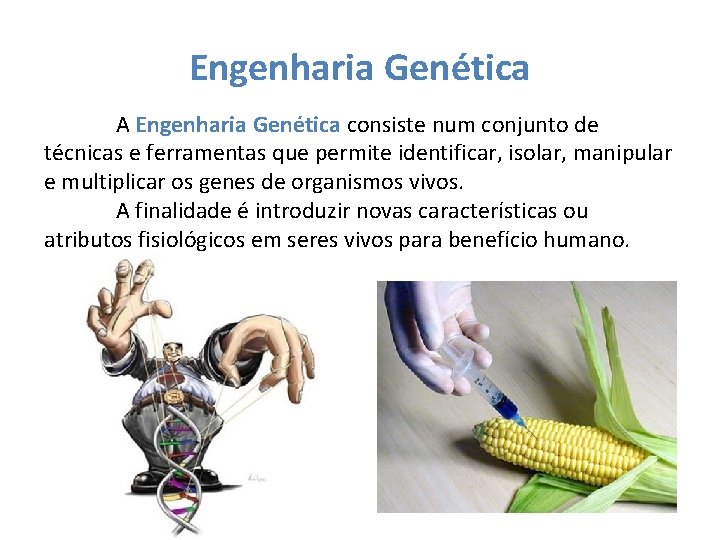 Engenharia Genética A Engenharia Genética consiste num conjunto de técnicas e ferramentas que permite