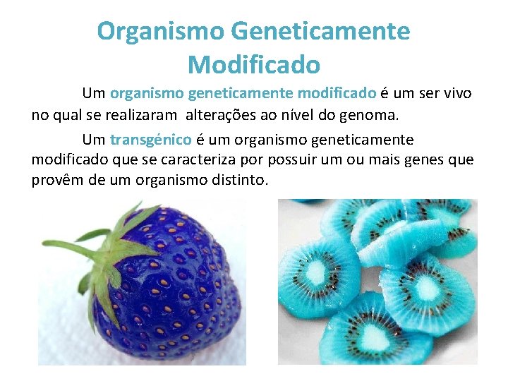 Organismo Geneticamente Modificado Um organismo geneticamente modificado é um ser vivo no qual se