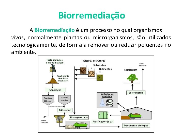 Biorremediação A Biorremediação é um processo no qual organismos vivos, normalmente plantas ou microrganismos,