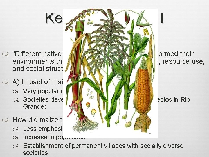 Key Concept 1. 1, I “Different native societies adapted to and transformed their environments