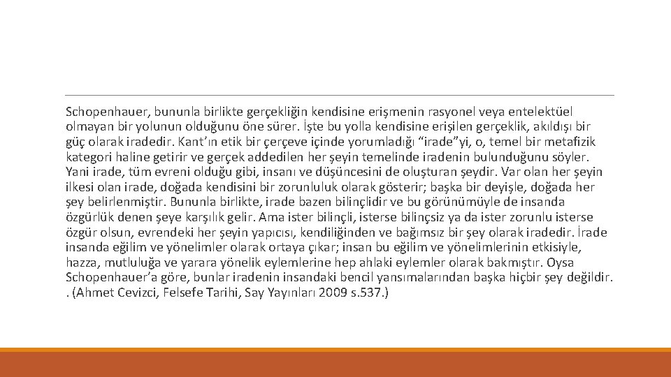 Schopenhauer, bununla birlikte gerçekliğin kendisine erişmenin rasyonel veya entelektüel olmayan bir yolunun olduğunu öne