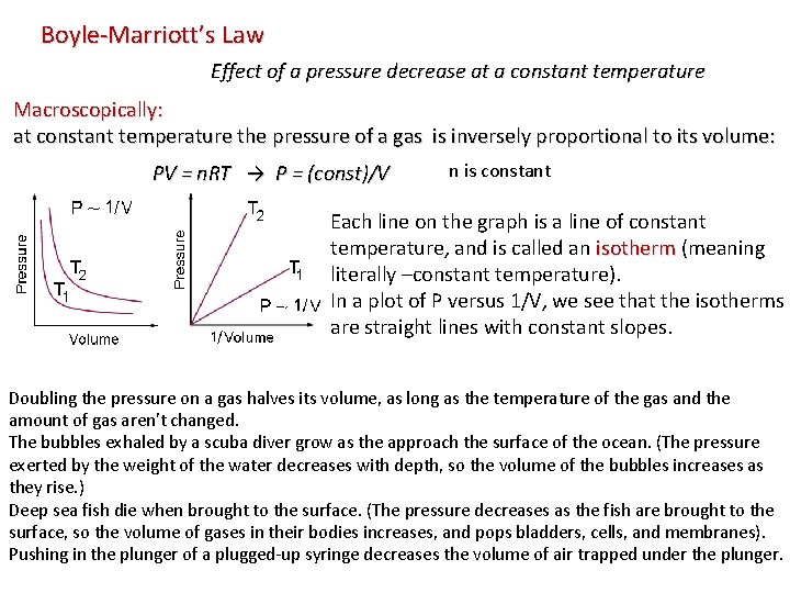Boyle-Marriott’s Law Effect of a pressure decrease at a constant temperature Macroscopically: at constant