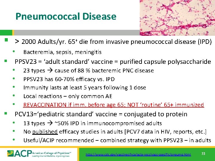 Pneumococcal Disease § > 2000 Adults/yr. 65+ die from invasive pneumococcal disease (IPD) •