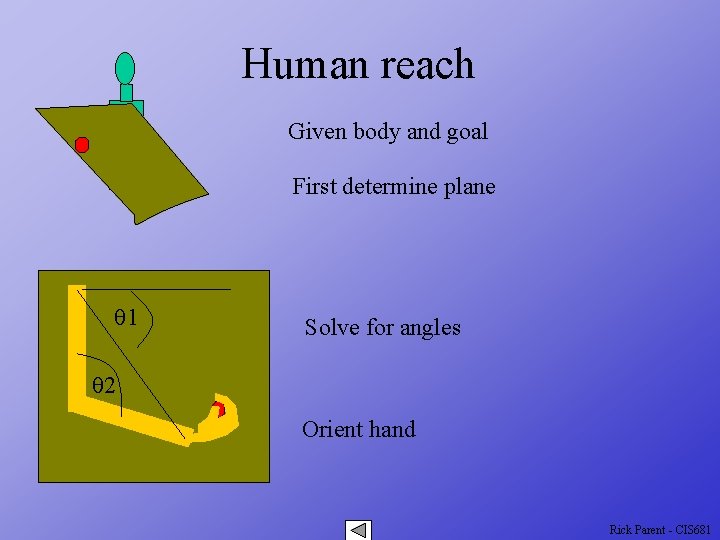 Human reach Given body and goal First determine plane q 1 Solve for angles