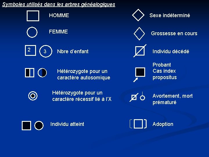 Symboles utilisés dans les arbres généalogiques HOMME FEMME 2 3 Sexe indéterminé Grossesse en