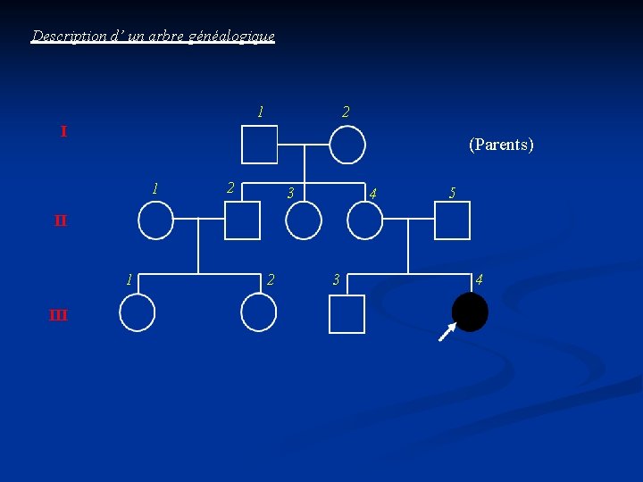 Description d’ un arbre généalogique 1 2 I (Parents) 1 2 3 4 5