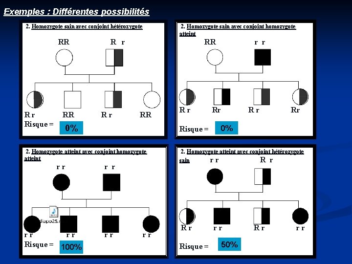Exemples : Différentes possibilités 2. Homozygote sain avec conjoint hétérozygote RR Rr Risque =