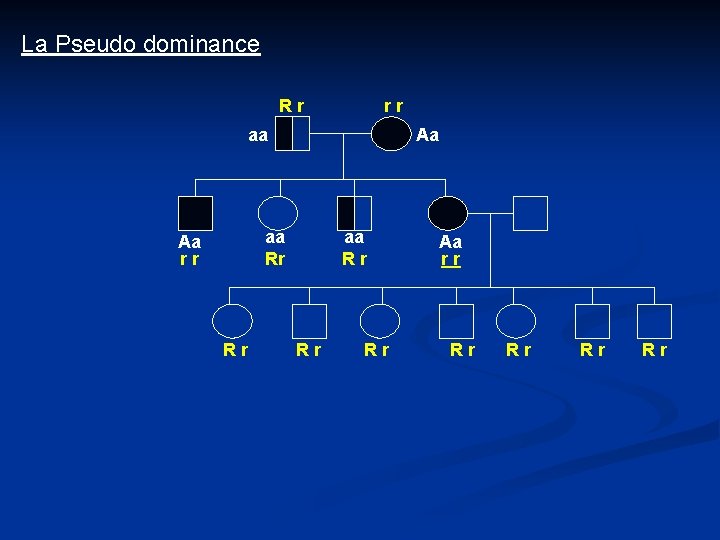 La Pseudo dominance Rr rr aa Aa aa Rr Aa rr Rr aa Rr