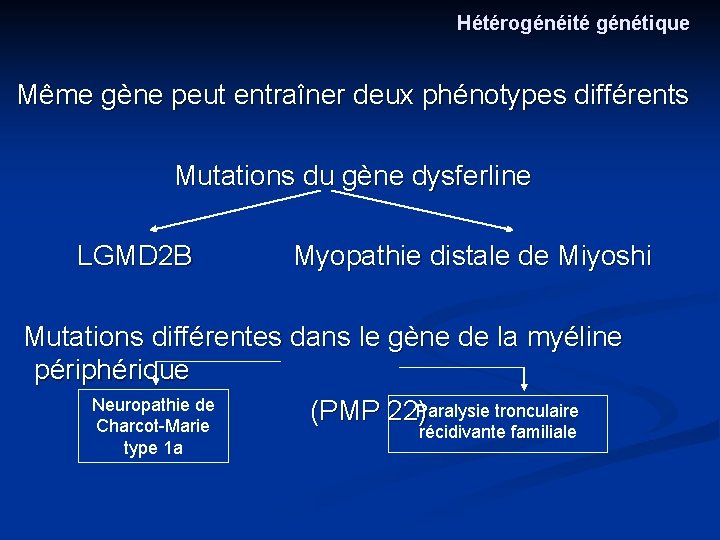 Hétérogénéité génétique Même gène peut entraîner deux phénotypes différents Mutations du gène dysferline LGMD