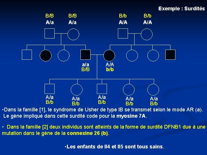 Exemple : Surdités B/B A/a B/b A/A a/a B/B B/b A/A b/b A/a A/a