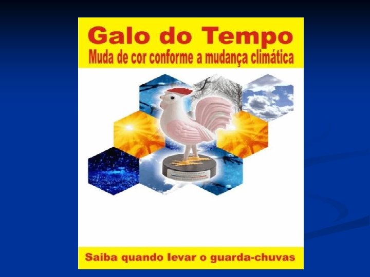 Galo do tempo 
