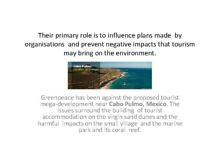 Their primary role is to influence plans made by organisations and prevent negative impacts