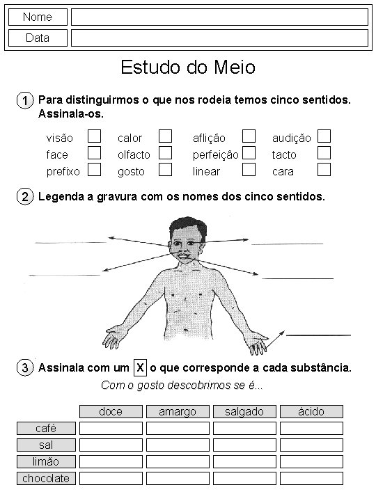 Nome Data Estudo do Meio 1 Para distinguirmos o que nos rodeia temos cinco