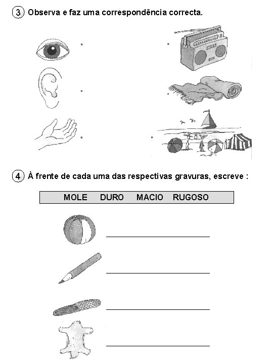 3 Observa e faz uma correspondência correcta. 4 À frente de cada uma das