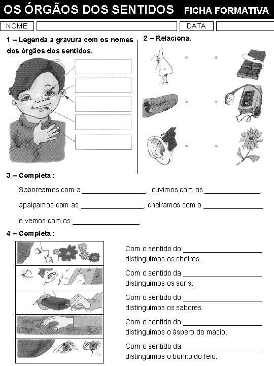 OS ÓRGÃOS DOS SENTIDOS NOME FICHA FORMATIVA DATA 1 – Legenda a gravura com