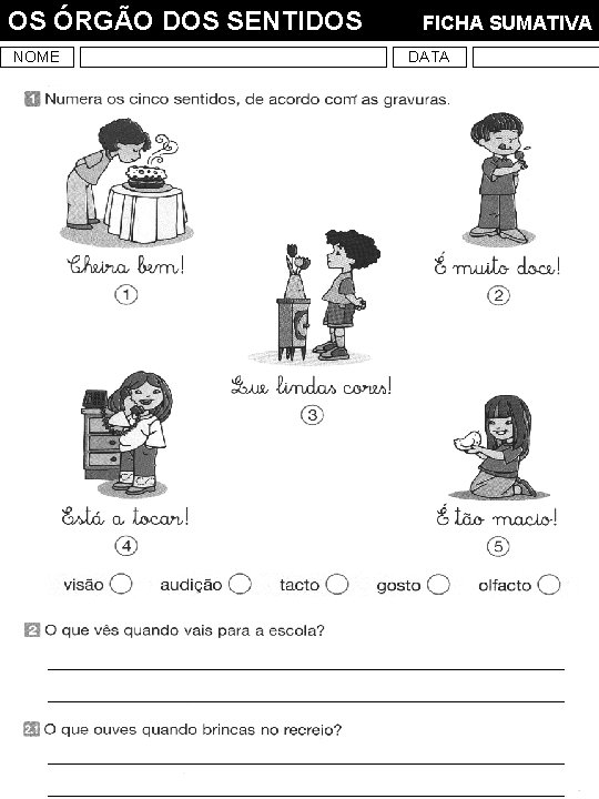 OS ÓRGÃO DOS SENTIDOS NOME FICHA SUMATIVA DATA 