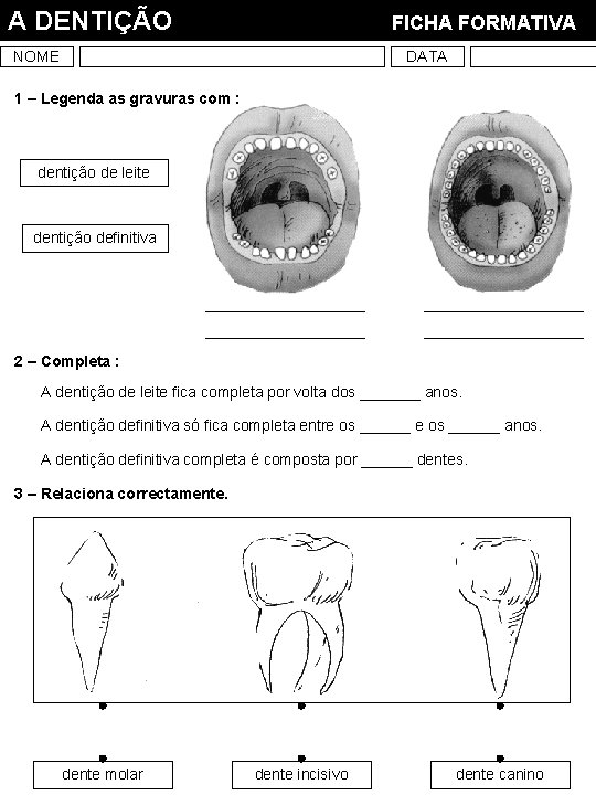A DENTIÇÃO FICHA FORMATIVA NOME DATA 1 – Legenda as gravuras com : dentição