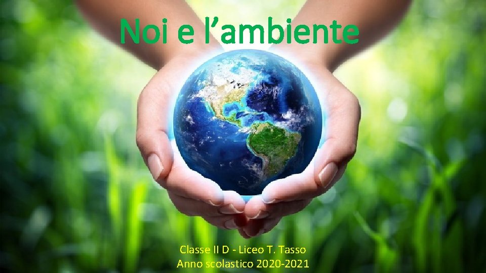 Noi e l’ambiente Classe II D - Liceo T. Tasso Anno scolastico 2020 -2021