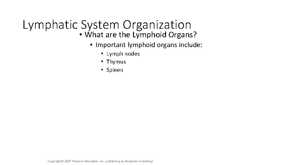 Lymphatic System Organization • What are the Lymphoid Organs? • Important lymphoid organs include: