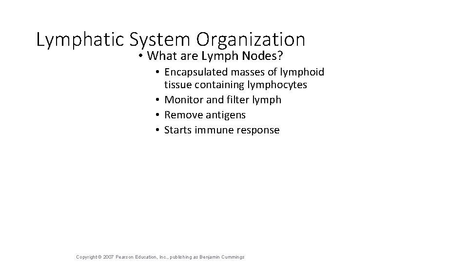 Lymphatic System Organization • What are Lymph Nodes? • Encapsulated masses of lymphoid tissue