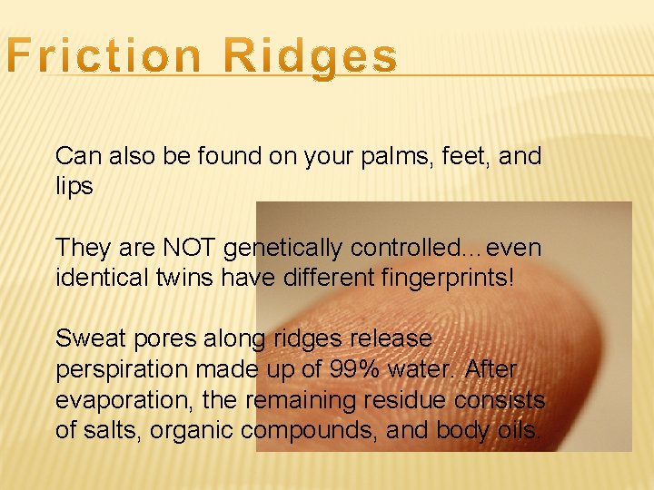 Can also be found on your palms, feet, and lips They are NOT genetically