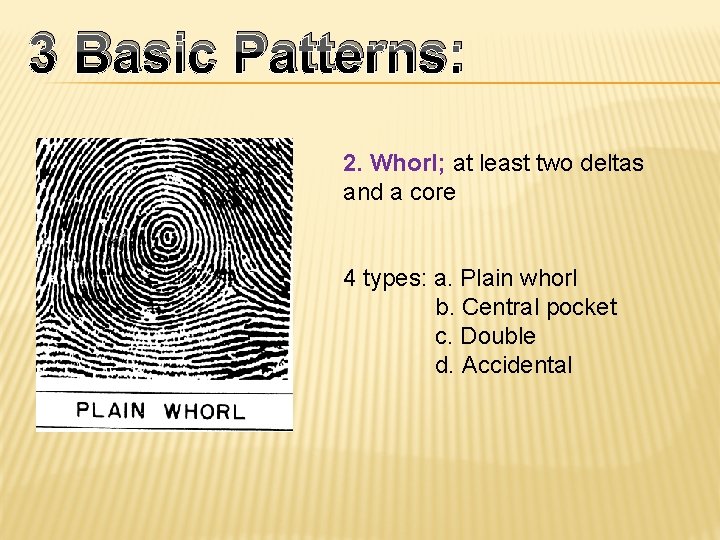 3 Basic Patterns: 2. Whorl; at least two deltas and a core 4 types: