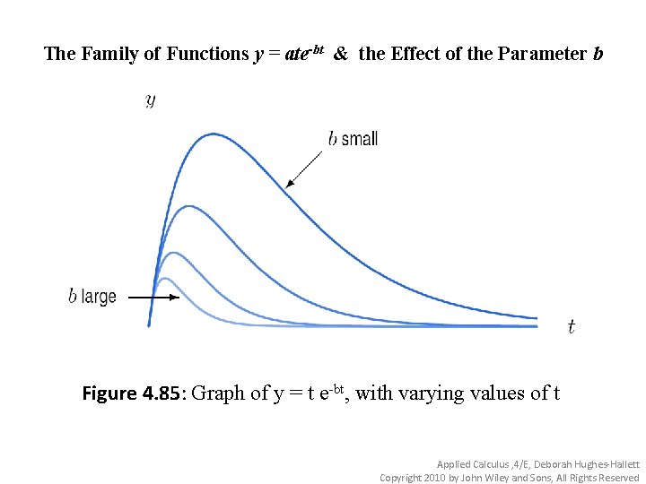 The Family of Functions y = ate-bt & the Effect of the Parameter b