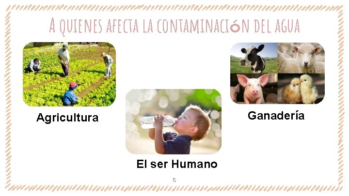 A quienes afecta la contaminación del agua Ganadería Agricultura El ser Humano 5 A quienes afecta la contaminación del agua Ganadería Agricultura El ser Humano 5
