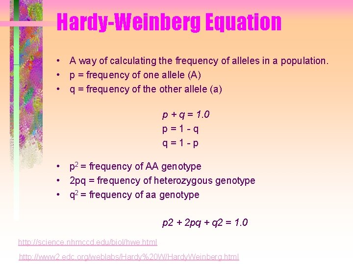 Hardy-Weinberg Equation • A way of calculating the frequency of alleles in a population. Hardy-Weinberg Equation • A way of calculating the frequency of alleles in a population.
