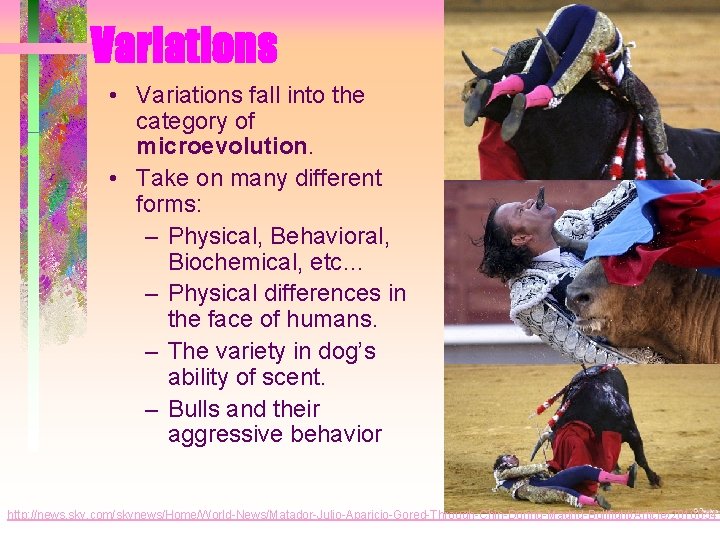 Variations • Variations fall into the category of microevolution. • Take on many different Variations • Variations fall into the category of microevolution. • Take on many different