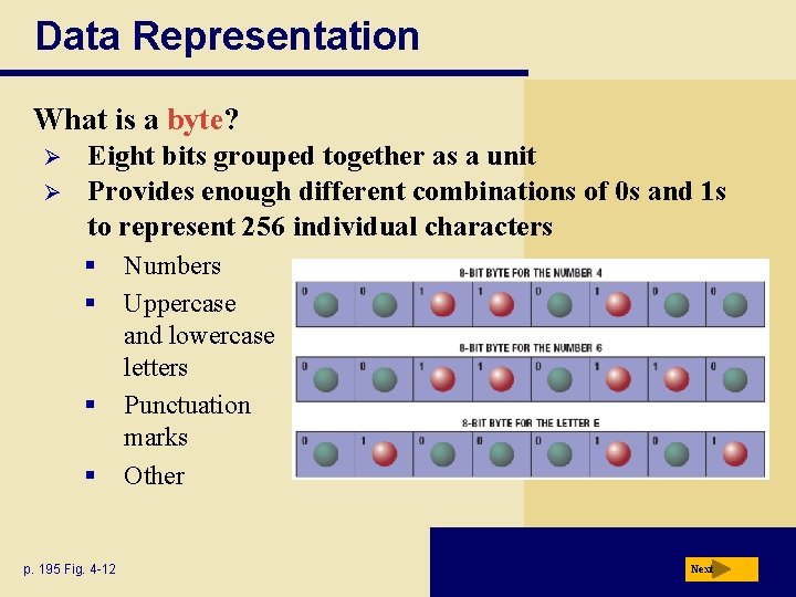Data Representation What is a byte? Ø Ø Eight bits grouped together as a
