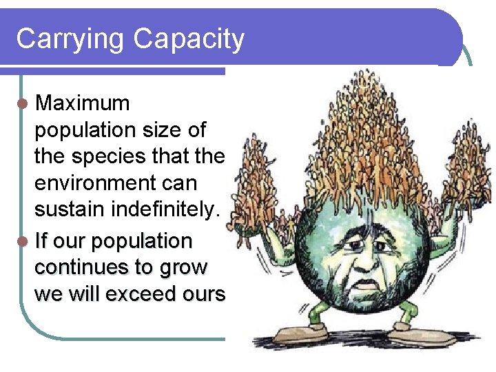 Carrying Capacity l Maximum population size of the species that the environment can sustain